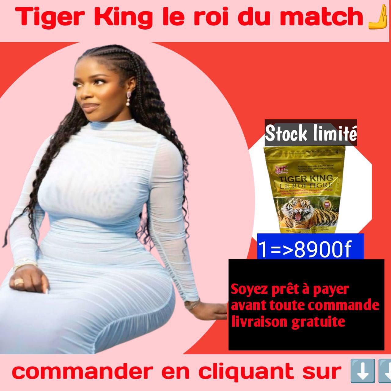 🌟 Tiger King - Le Roi Tigre 🌟